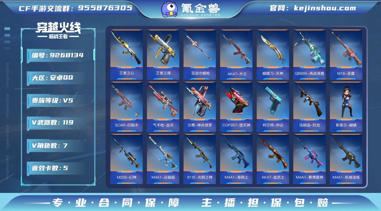 实名: 可修改 v武器数: 119 王者武...