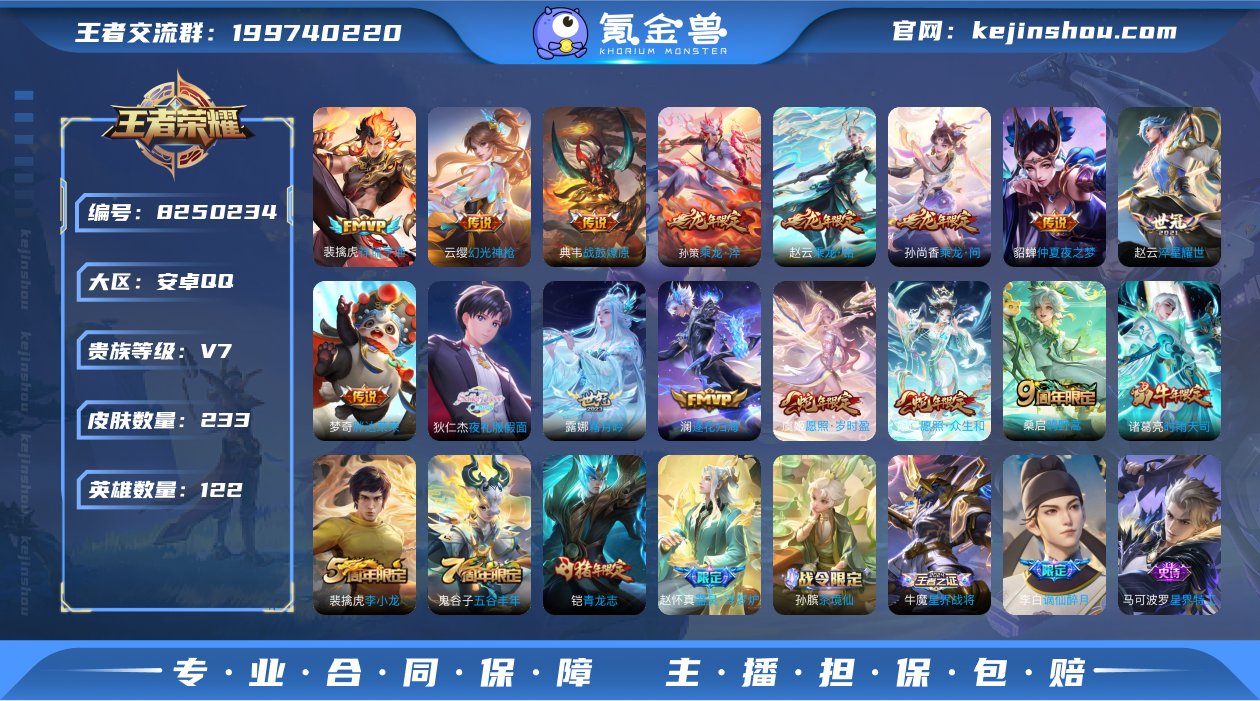 233皮16传说1典藏1星元 可改实名 弑...