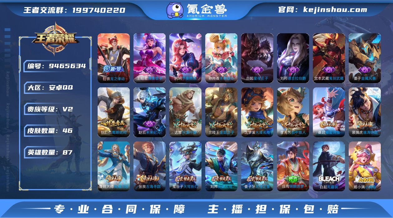 贵族V2 史诗皮肤10 皮肤数量46 皮肤...