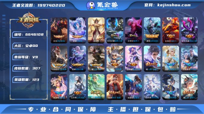 V9/307皮肤/2典藏 武则天/20传说...