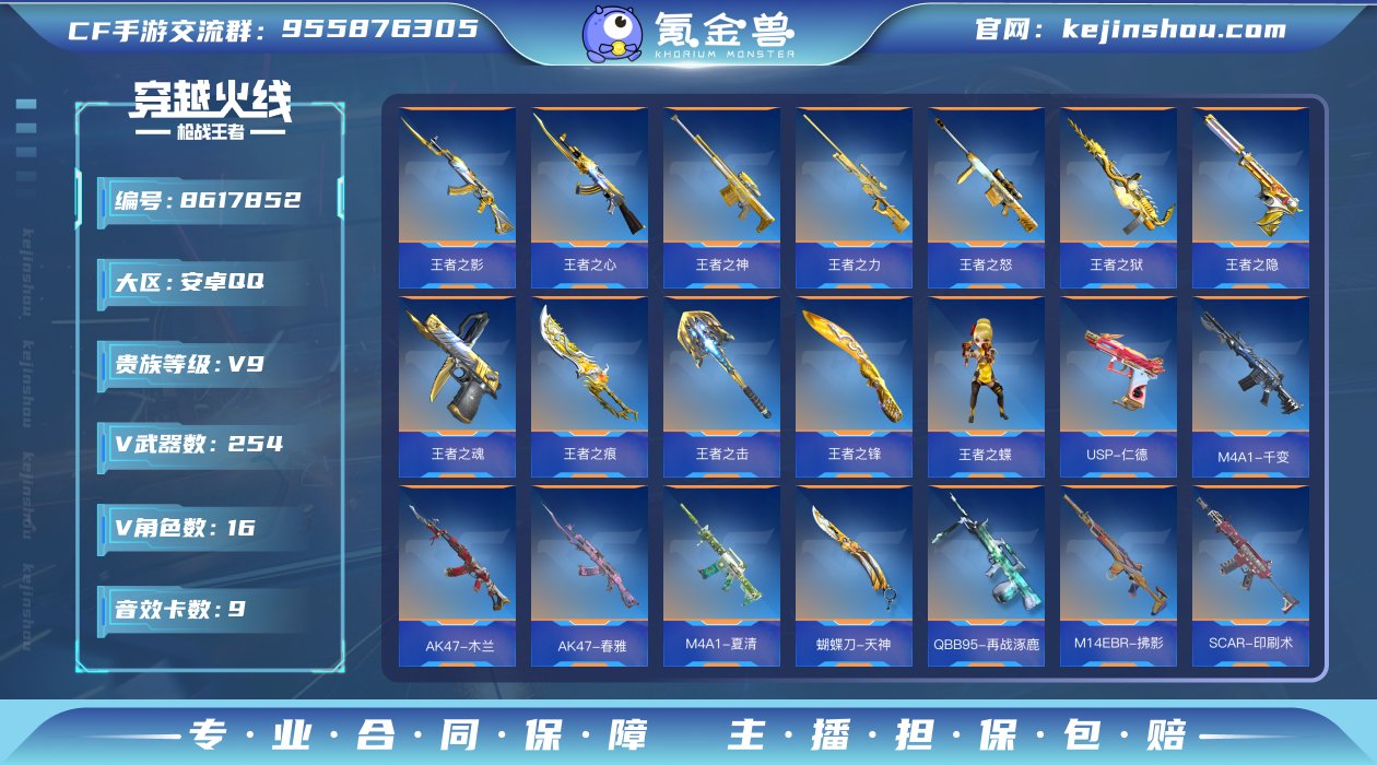 实名: 不可修改 v武器数: 254 王者...