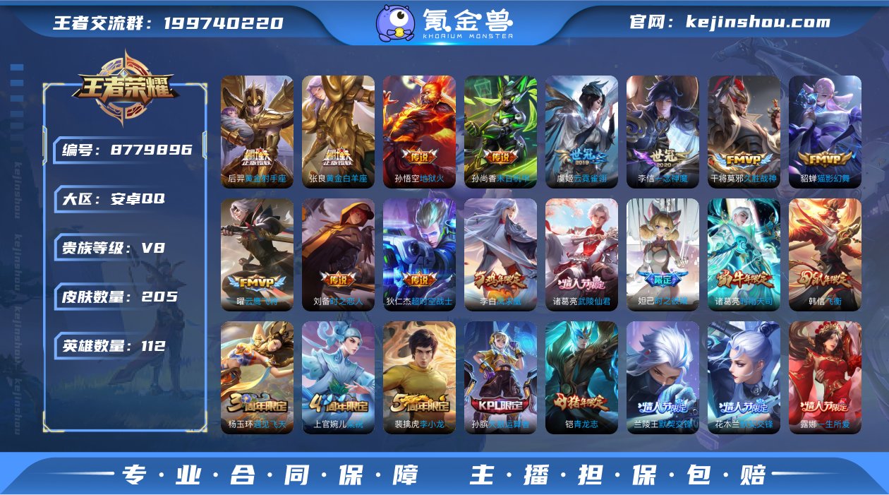 v8 可改实名 205皮 1典藏 16传说...