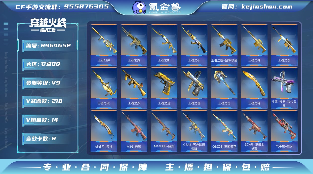实名: 可修改 v武器数: 218 王者武...