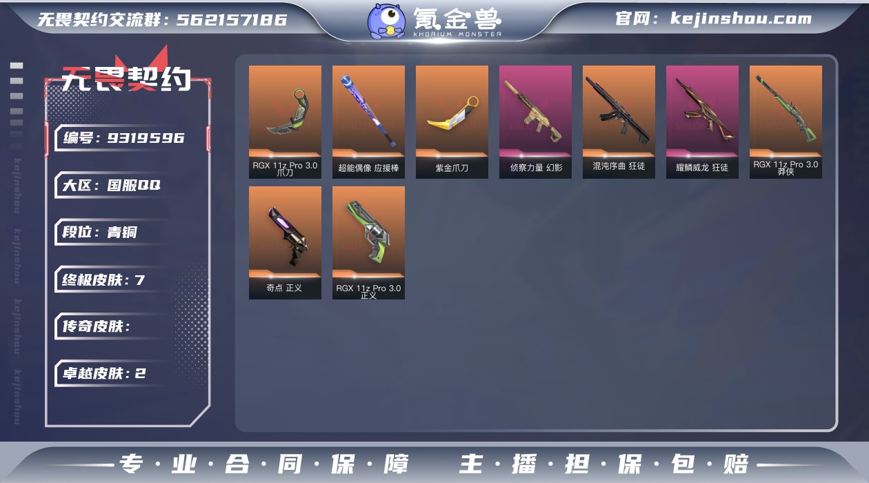 【套装】：RGX 11z Pro//3.0...