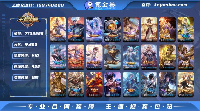 v10 金标瑶 武则天 蔡文姬 459皮肤...