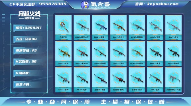 v武器数: 36 王者武器数: 1 王者武...