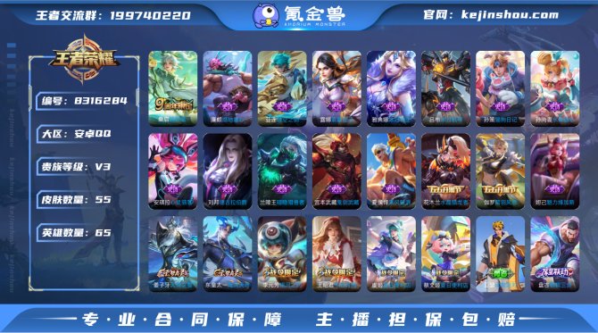 氪金兽
