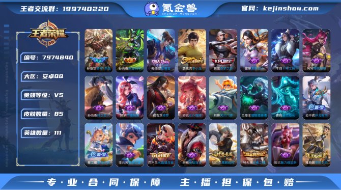 氪金兽