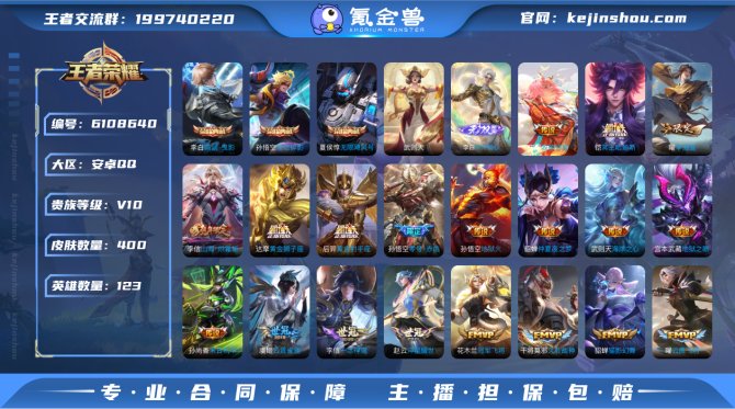 【V10 400皮肤3典藏1无双49传说2...