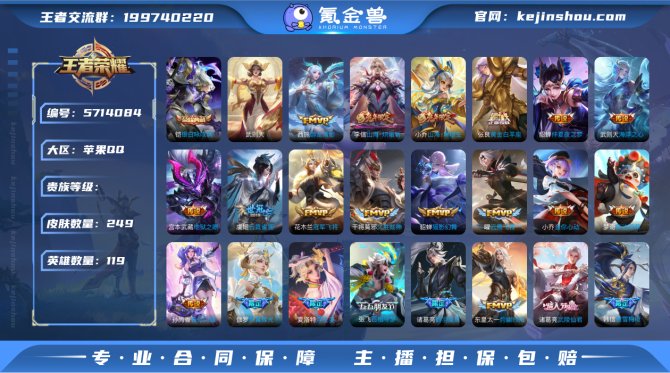 XY iOS【V9 249皮肤1典藏31传...