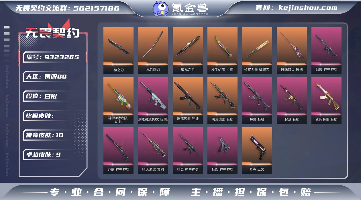 10橙皮 9紫皮 47皮肤 27英雄 83...