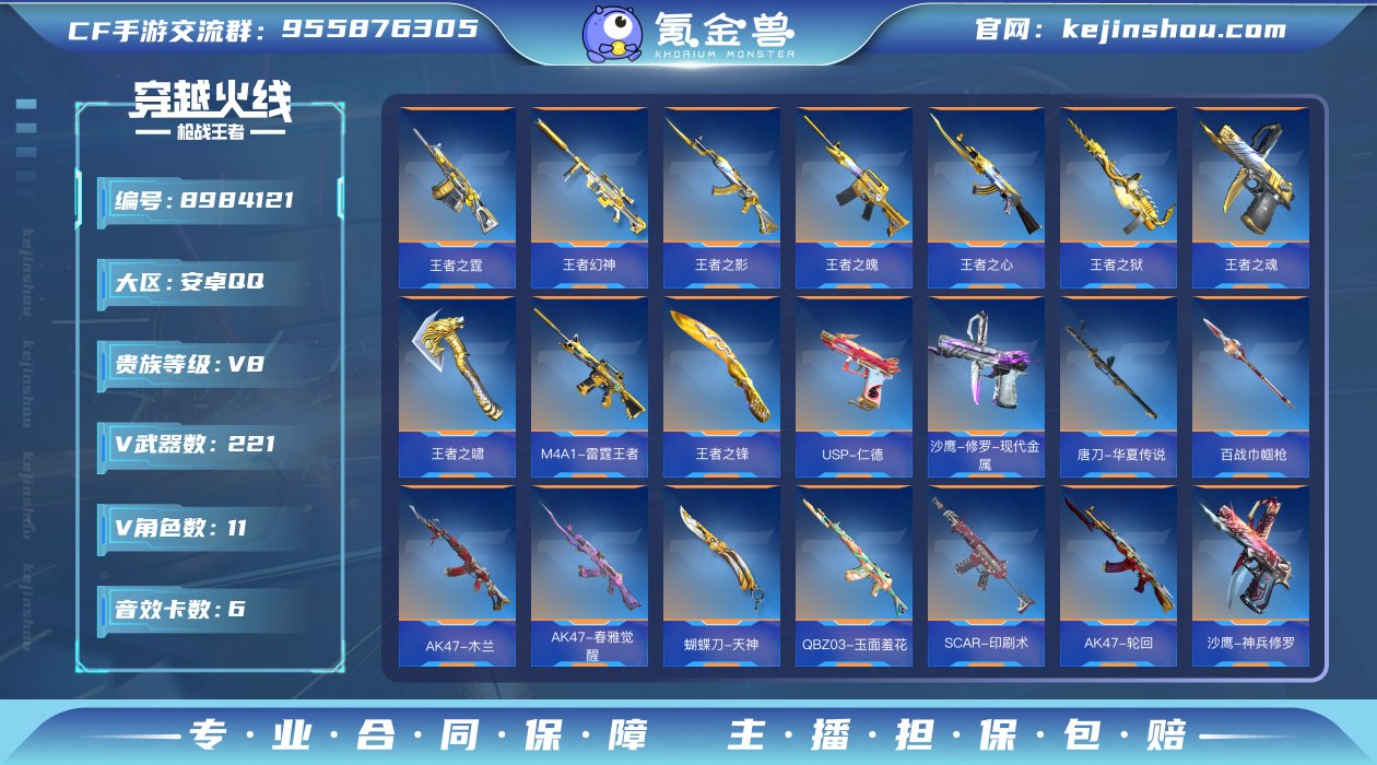 实名: 不可修改 v武器数: 221 王者...