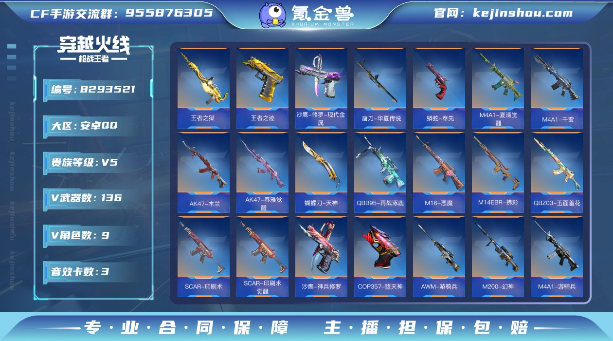 实名: 不可修改 v武器数: 136 王者...