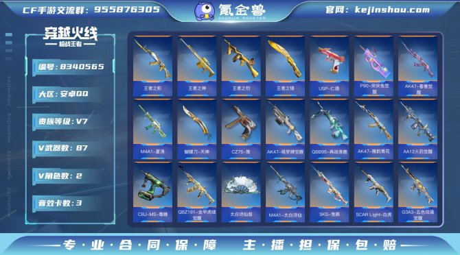 氪金兽