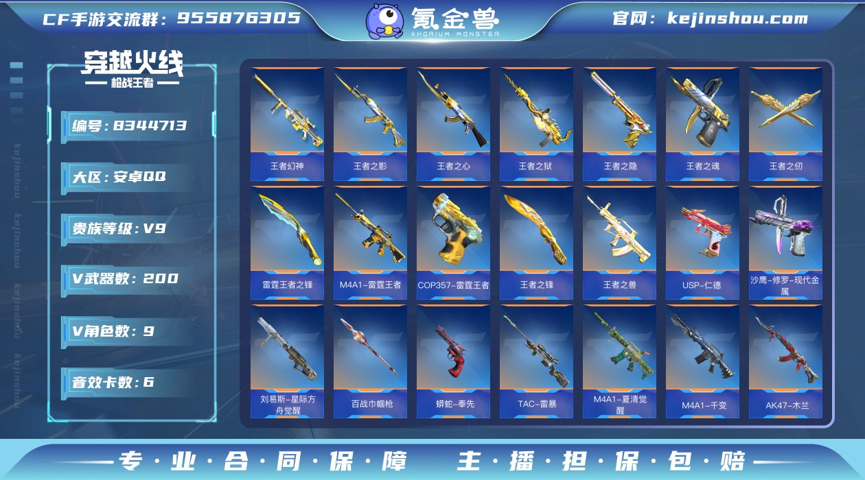 实名: 可修改 v武器数: 200 王者武...