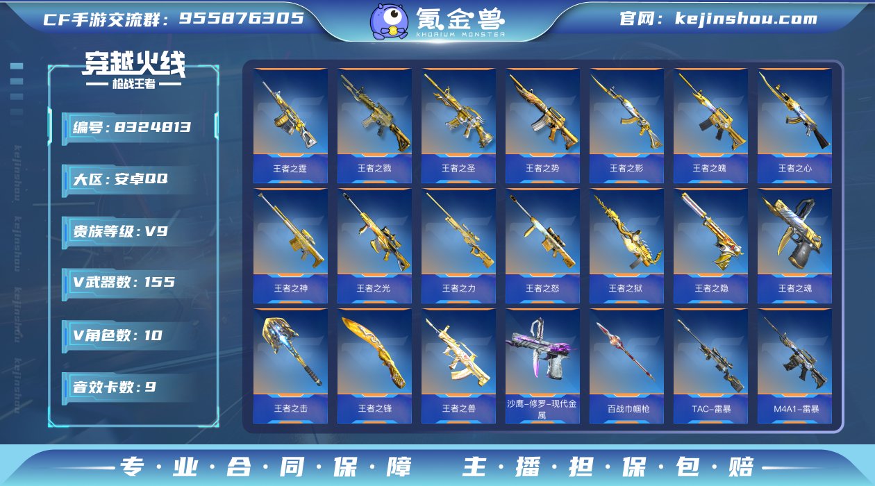 实名: 可修改 v武器数: 155 王者武...
