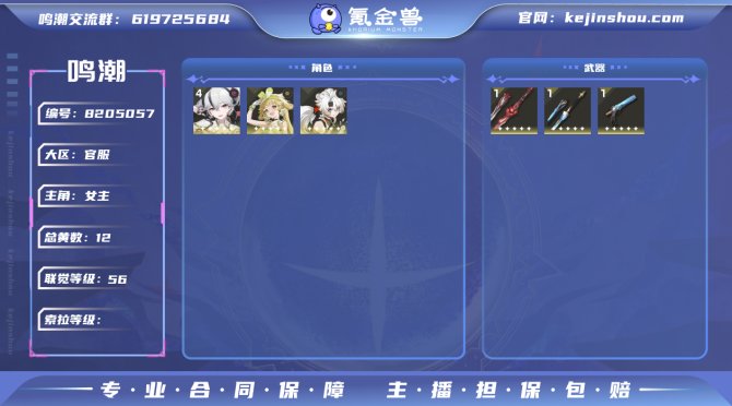 氪金兽