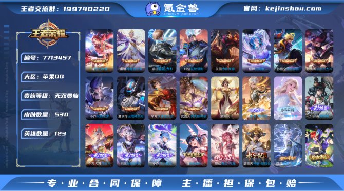 【V11 9无双 12典藏 国标苍 4珍品...