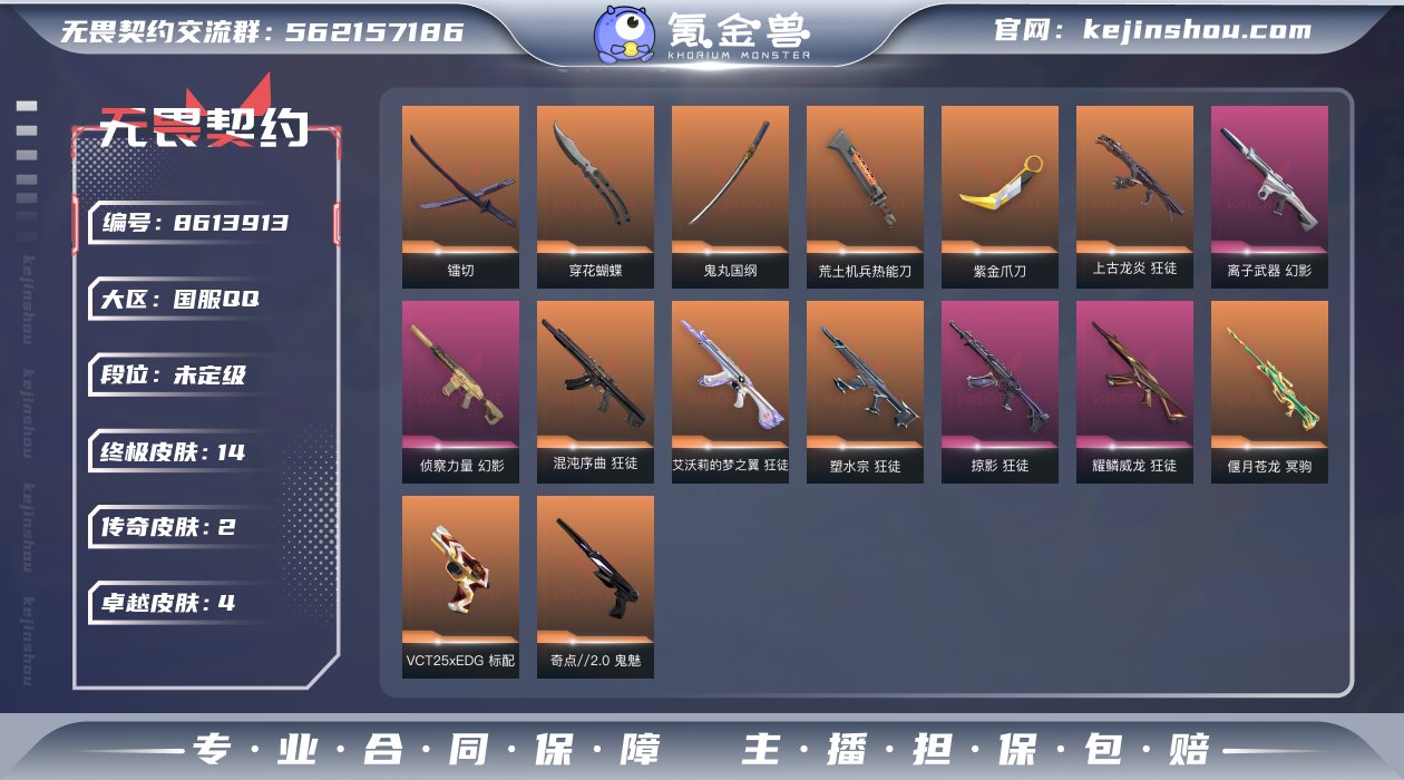 【套装】：VCT 2025 赛季套装
【英...