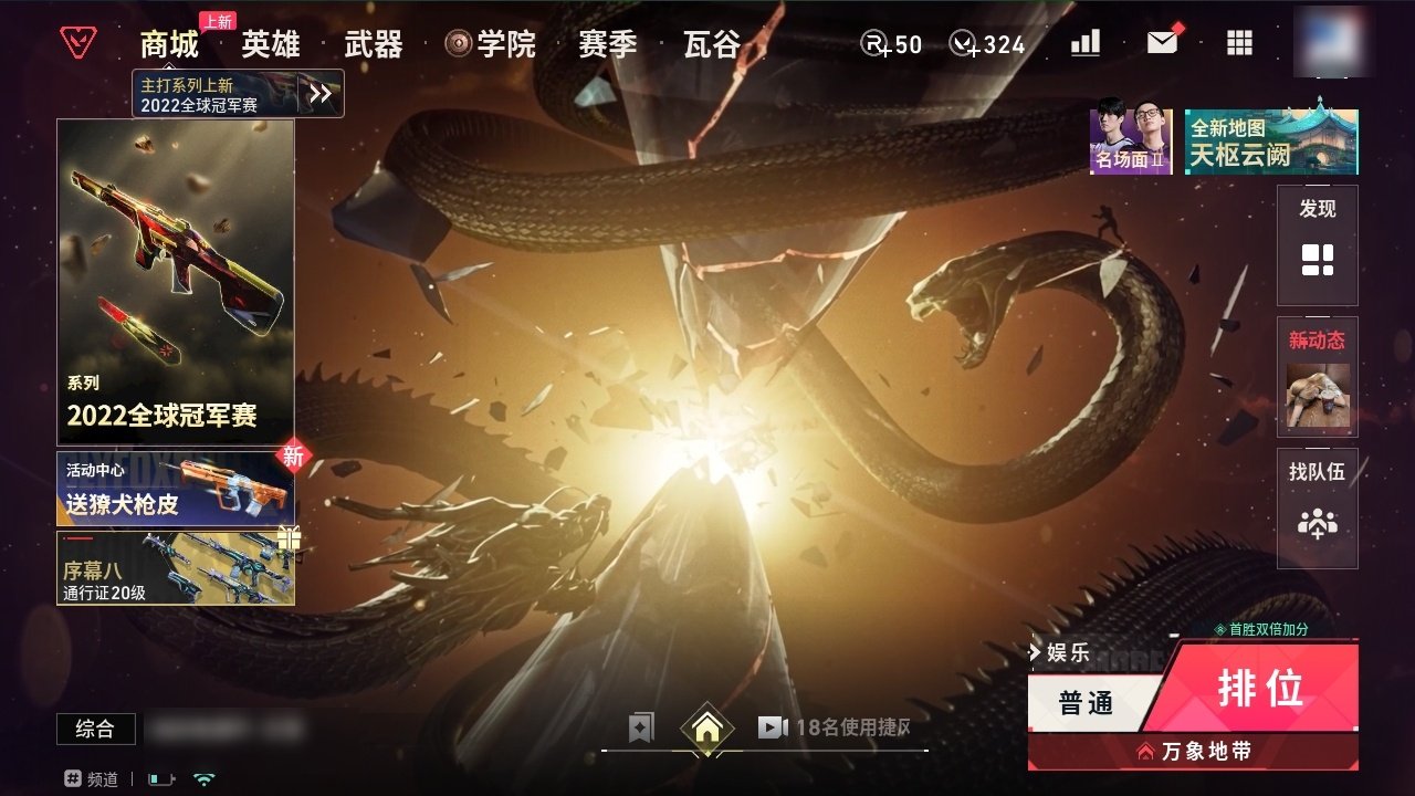 大图
