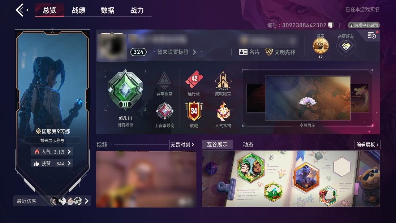 大图