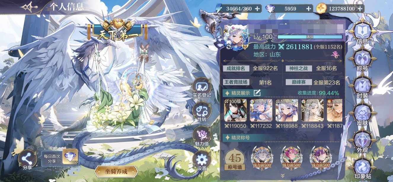 卖家说:排行14，有两个源起没上，上了战力...