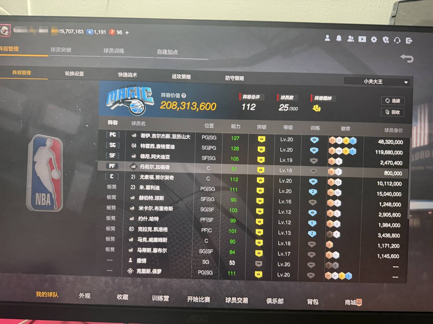 实名:不可二次实名 阵容价值(W):208...