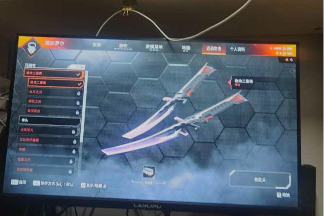 传家宝数:1 金皮数:1 卖家说:一个双刀...