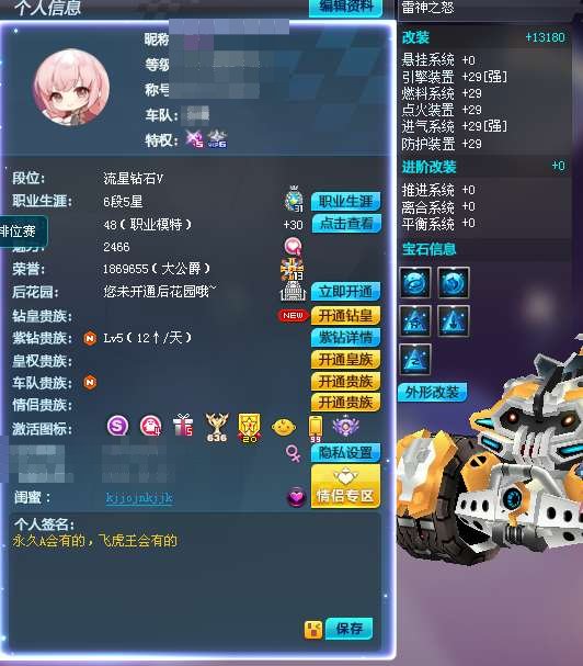 实名:可二次实名 S车数:2 T1机甲车数...